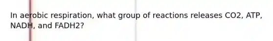 In aerobic respiration, what group of reactions releases CO2, ATP, NADH, and FADH2?