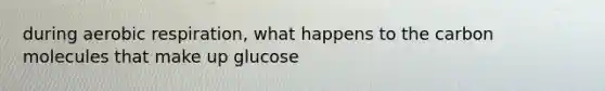 during aerobic respiration, what happens to the carbon molecules that make up glucose