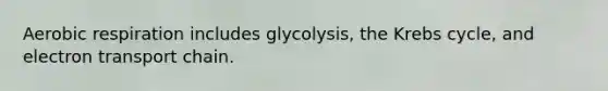 <a href='https://www.questionai.com/knowledge/kyxGdbadrV-aerobic-respiration' class='anchor-knowledge'>aerobic respiration</a> includes glycolysis, the <a href='https://www.questionai.com/knowledge/kqfW58SNl2-krebs-cycle' class='anchor-knowledge'>krebs cycle</a>, and electron transport chain.