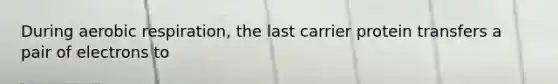 During aerobic respiration, the last carrier protein transfers a pair of electrons to