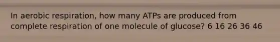 In aerobic respiration, how many ATPs are produced from complete respiration of one molecule of glucose? 6 16 26 36 46