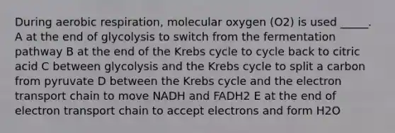 During <a href='https://www.questionai.com/knowledge/kyxGdbadrV-aerobic-respiration' class='anchor-knowledge'>aerobic respiration</a>, molecular oxygen (O2) is used _____. A at the end of glycolysis to switch from the fermentation pathway B at the end of the <a href='https://www.questionai.com/knowledge/kqfW58SNl2-krebs-cycle' class='anchor-knowledge'>krebs cycle</a> to cycle back to citric acid C between glycolysis and the Krebs cycle to split a carbon from pyruvate D between the Krebs cycle and <a href='https://www.questionai.com/knowledge/k57oGBr0HP-the-electron-transport-chain' class='anchor-knowledge'>the electron transport chain</a> to move NADH and FADH2 E at the end of electron transport chain to accept electrons and form H2O