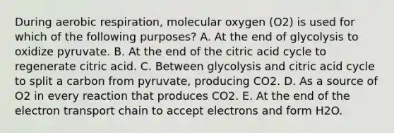 During aerobic respiration, molecular oxygen (O2) is used for which of the following purposes? A. At the end of glycolysis to oxidize pyruvate. B. At the end of the citric acid cycle to regenerate citric acid. C. Between glycolysis and citric acid cycle to split a carbon from pyruvate, producing CO2. D. As a source of O2 in every reaction that produces CO2. E. At the end of the electron transport chain to accept electrons and form H2O.