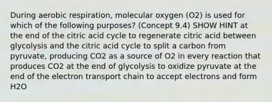 During aerobic respiration, molecular oxygen (O2) is used for which of the following purposes? (Concept 9.4) SHOW HINT at the end of the citric acid cycle to regenerate citric acid between glycolysis and the citric acid cycle to split a carbon from pyruvate, producing CO2 as a source of O2 in every reaction that produces CO2 at the end of glycolysis to oxidize pyruvate at the end of the electron transport chain to accept electrons and form H2O