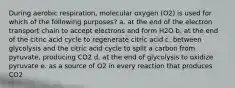 During aerobic respiration, molecular oxygen (O2) is used for which of the following purposes? a. at the end of the electron transport chain to accept electrons and form H2O b. at the end of the citric acid cycle to regenerate citric acid c. between glycolysis and the citric acid cycle to split a carbon from pyruvate, producing CO2 d. at the end of glycolysis to oxidize pyruvate e. as a source of O2 in every reaction that produces CO2