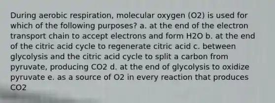 During aerobic respiration, molecular oxygen (O2) is used for which of the following purposes? a. at the end of the electron transport chain to accept electrons and form H2O b. at the end of the citric acid cycle to regenerate citric acid c. between glycolysis and the citric acid cycle to split a carbon from pyruvate, producing CO2 d. at the end of glycolysis to oxidize pyruvate e. as a source of O2 in every reaction that produces CO2