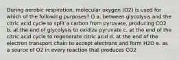 During aerobic respiration, molecular oxygen (O2) is used for which of the following purposes? () a. between glycolysis and the citric acid cycle to split a carbon from pyruvate, producing CO2 b. at the end of glycolysis to oxidize pyruvate c. at the end of the citric acid cycle to regenerate citric acid d. at the end of the electron transport chain to accept electrons and form H2O e. as a source of O2 in every reaction that produces CO2