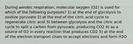 During aerobic respiration, molecular oxygen (O2) is used for which of the following purposes? 1) at the end of glycolysis to oxidize pyruvate 2) at the end of the citric acid cycle to regenerate citric acid 3) between glycolysis and the citric acid cycle to split a carbon from pyruvate, producing CO2 4) as a source of O2 in every reaction that produces CO2 5) at the end of <a href='https://www.questionai.com/knowledge/k57oGBr0HP-the-electron-transport-chain' class='anchor-knowledge'>the electron transport chain</a> to accept electrons and form H2O