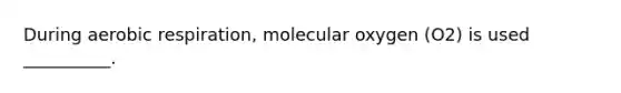 During aerobic respiration, molecular oxygen (O2) is used __________.