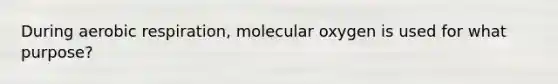 During aerobic respiration, molecular oxygen is used for what purpose?