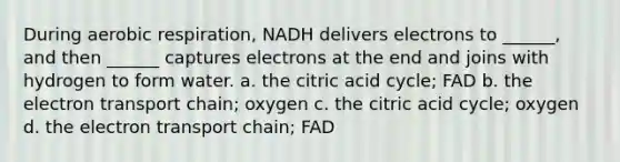 During <a href='https://www.questionai.com/knowledge/kyxGdbadrV-aerobic-respiration' class='anchor-knowledge'>aerobic respiration</a>, NADH delivers electrons to ______, and then ______ captures electrons at the end and joins with hydrogen to form water. a. the citric acid cycle; FAD b. <a href='https://www.questionai.com/knowledge/k57oGBr0HP-the-electron-transport-chain' class='anchor-knowledge'>the electron transport chain</a>; oxygen c. the citric acid cycle; oxygen d. the electron transport chain; FAD