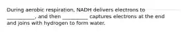 During aerobic respiration, NADH delivers electrons to ___________, and then __________ captures electrons at the end and joins with hydrogen to form water.