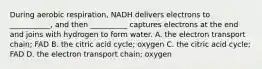 During aerobic respiration, NADH delivers electrons to ___________, and then __________ captures electrons at the end and joins with hydrogen to form water. A. the electron transport chain; FAD B. the citric acid cycle; oxygen C. the citric acid cycle; FAD D. the electron transport chain; oxygen