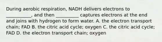 During aerobic respiration, NADH delivers electrons to ___________, and then __________ captures electrons at the end and joins with hydrogen to form water. A. the electron transport chain; FAD B. the citric acid cycle; oxygen C. the citric acid cycle; FAD D. the electron transport chain; oxygen