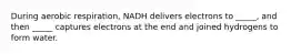 During aerobic respiration, NADH delivers electrons to _____, and then _____ captures electrons at the end and joined hydrogens to form water.