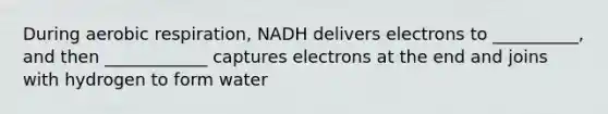 During aerobic respiration, NADH delivers electrons to __________, and then ____________ captures electrons at the end and joins with hydrogen to form water