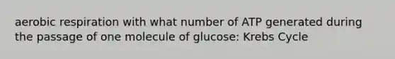 aerobic respiration with what number of ATP generated during the passage of one molecule of glucose: Krebs Cycle