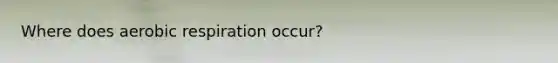 Where does aerobic respiration occur?