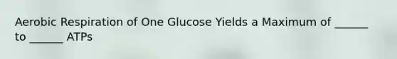 Aerobic Respiration of One Glucose Yields a Maximum of ______ to ______ ATPs