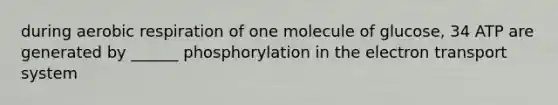 during aerobic respiration of one molecule of glucose, 34 ATP are generated by ______ phosphorylation in the electron transport system