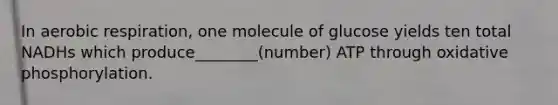 In aerobic respiration, one molecule of glucose yields ten total NADHs which produce________(number) ATP through oxidative phosphorylation.