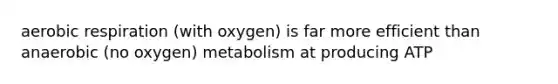 aerobic respiration (with oxygen) is far more efficient than anaerobic (no oxygen) metabolism at producing ATP