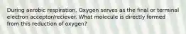 During aerobic respiration, Oxygen serves as the final or terminal electron acceptor/reciever. What molecule is directly formed from this reduction of oxygen?