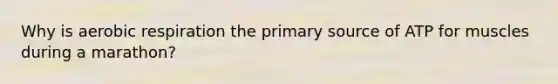 Why is aerobic respiration the primary source of ATP for muscles during a marathon?