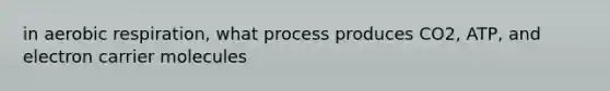 in aerobic respiration, what process produces CO2, ATP, and electron carrier molecules