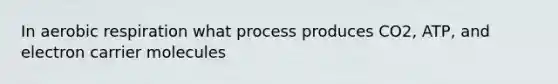 In aerobic respiration what process produces CO2, ATP, and electron carrier molecules