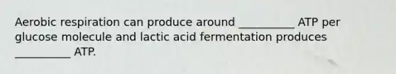 Aerobic respiration can produce around __________ ATP per glucose molecule and lactic acid fermentation produces __________ ATP.