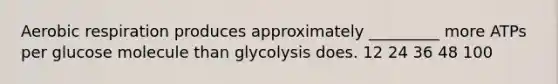 Aerobic respiration produces approximately _________ more ATPs per glucose molecule than glycolysis does. 12 24 36 48 100