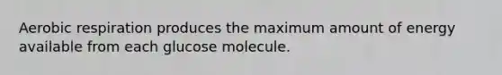 Aerobic respiration produces the maximum amount of energy available from each glucose molecule.