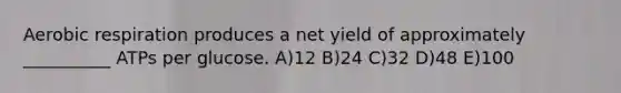 Aerobic respiration produces a net yield of approximately __________ ATPs per glucose. A)12 B)24 C)32 D)48 E)100