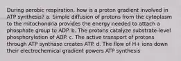 During aerobic respiration, how is a proton gradient involved in ATP synthesis? a. Simple diffusion of protons from the cytoplasm to the mitochondria provides the energy needed to attach a phosphate group to ADP. b. The protons catalyze substrate-level phosphorylation of ADP. c. The active transport of protons through ATP synthase creates ATP. d. The flow of H+ ions down their electrochemical gradient powers ATP synthesis