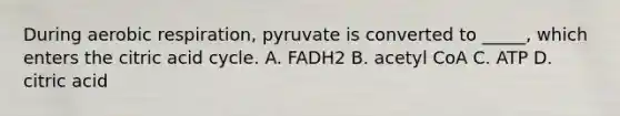 During aerobic respiration, pyruvate is converted to _____, which enters the citric acid cycle. A. FADH2 B. acetyl CoA C. ATP D. citric acid