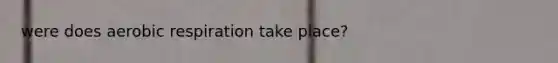 were does aerobic respiration take place?