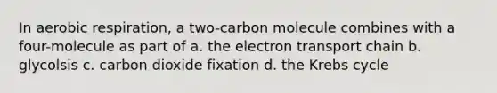 In <a href='https://www.questionai.com/knowledge/kyxGdbadrV-aerobic-respiration' class='anchor-knowledge'>aerobic respiration</a>, a two-carbon molecule combines with a four-molecule as part of a. <a href='https://www.questionai.com/knowledge/k57oGBr0HP-the-electron-transport-chain' class='anchor-knowledge'>the electron transport chain</a> b. glycolsis c. carbon dioxide fixation d. the <a href='https://www.questionai.com/knowledge/kqfW58SNl2-krebs-cycle' class='anchor-knowledge'>krebs cycle</a>