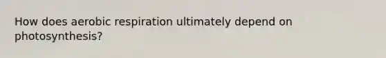 How does aerobic respiration ultimately depend on photosynthesis?