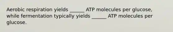 Aerobic respiration yields ______ ATP molecules per glucose, while fermentation typically yields ______ ATP molecules per glucose.