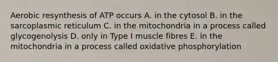 Aerobic resynthesis of ATP occurs A. in the cytosol B. in the sarcoplasmic reticulum C. in the mitochondria in a process called glycogenolysis D. only in Type I muscle fibres E. in the mitochondria in a process called oxidative phosphorylation