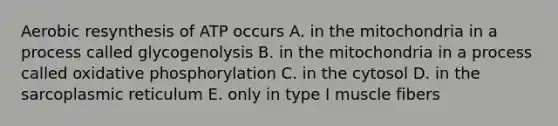 Aerobic resynthesis of ATP occurs A. in the mitochondria in a process called glycogenolysis B. in the mitochondria in a process called oxidative phosphorylation C. in the cytosol D. in the sarcoplasmic reticulum E. only in type I muscle fibers