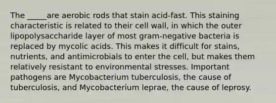 The _____are aerobic rods that stain acid-fast. This staining characteristic is related to their cell wall, in which the outer lipopolysaccharide layer of most gram-negative bacteria is replaced by mycolic acids. This makes it difficult for stains, nutrients, and antimicrobials to enter the cell, but makes them relatively resistant to environmental stresses. Important pathogens are Mycobacterium tuberculosis, the cause of tuberculosis, and Mycobacterium leprae, the cause of leprosy.