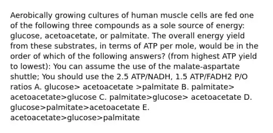 Aerobically growing cultures of human muscle cells are fed one of the following three compounds as a sole source of energy: glucose, acetoacetate, or palmitate. The overall energy yield from these substrates, in terms of ATP per mole, would be in the order of which of the following answers? (from highest ATP yield to lowest): You can assume the use of the malate-aspartate shuttle; You should use the 2.5 ATP/NADH, 1.5 ATP/FADH2 P/O ratios A. glucose> acetoacetate >palmitate B. palmitate> acetoacetate>glucose C. palmitate>glucose> acetoacetate D. glucose>palmitate>acetoacetate E. acetoacetate>glucose>palmitate