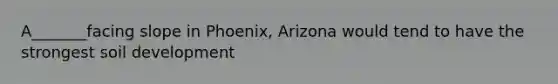 A_______facing slope in Phoenix, Arizona would tend to have the strongest soil development