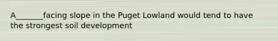 A_______facing slope in the Puget Lowland would tend to have the strongest soil development