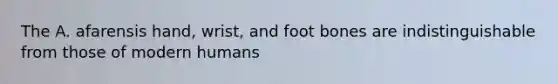 The A. afarensis hand, wrist, and foot bones are indistinguishable from those of modern humans