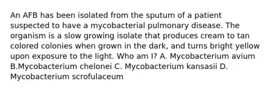 An AFB has been isolated from the sputum of a patient suspected to have a mycobacterial pulmonary disease. The organism is a slow growing isolate that produces cream to tan colored colonies when grown in the dark, and turns bright yellow upon exposure to the light. Who am I? A. Mycobacterium avium B.Mycobacterium chelonei C. Mycobacterium kansasii D. Mycobacterium scrofulaceum