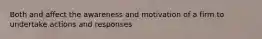 Both and affect the awareness and motivation of a firm to undertake actions and responses