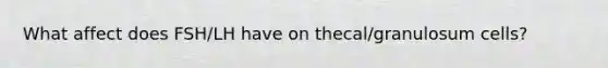 What affect does FSH/LH have on thecal/granulosum cells?